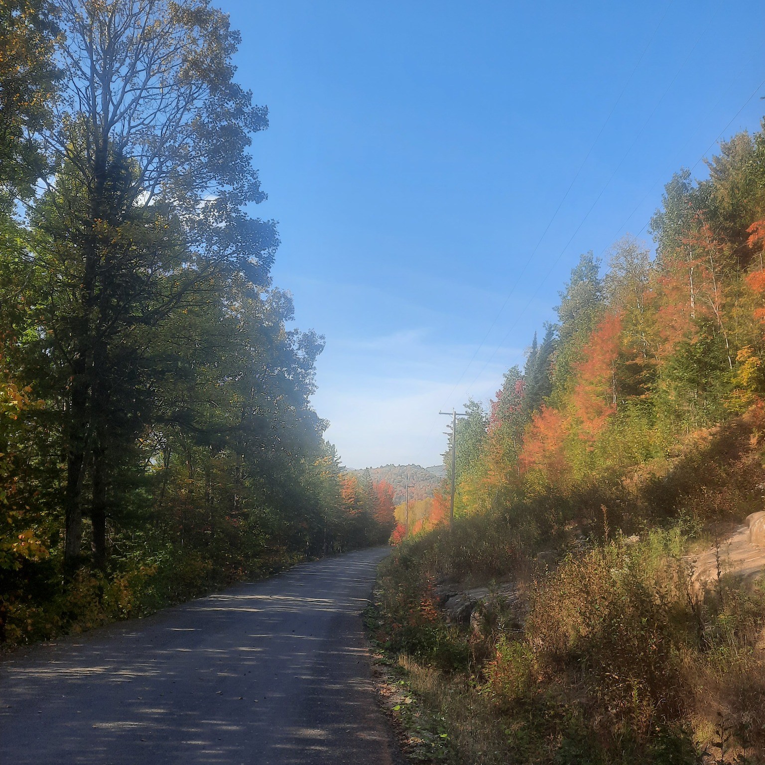 Paysage d'automne, une route de campagne